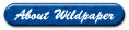 About Wildpaper