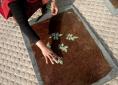 Making lokta rose leaf paper